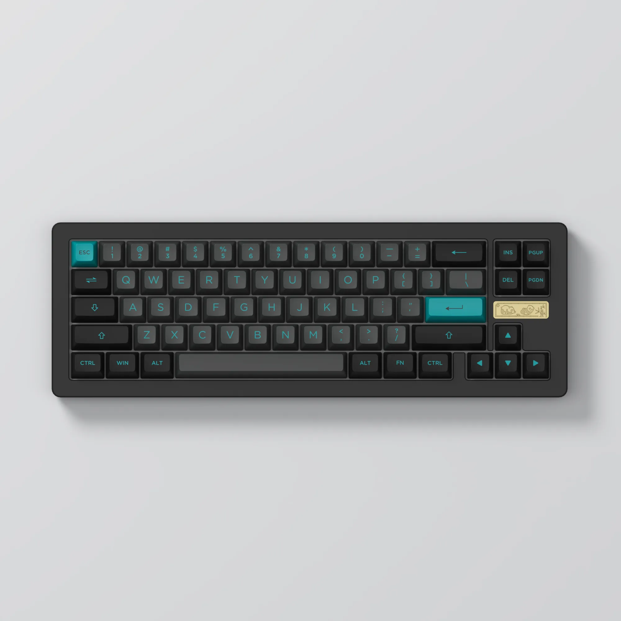 ACR Pro 68 Black & Cyan