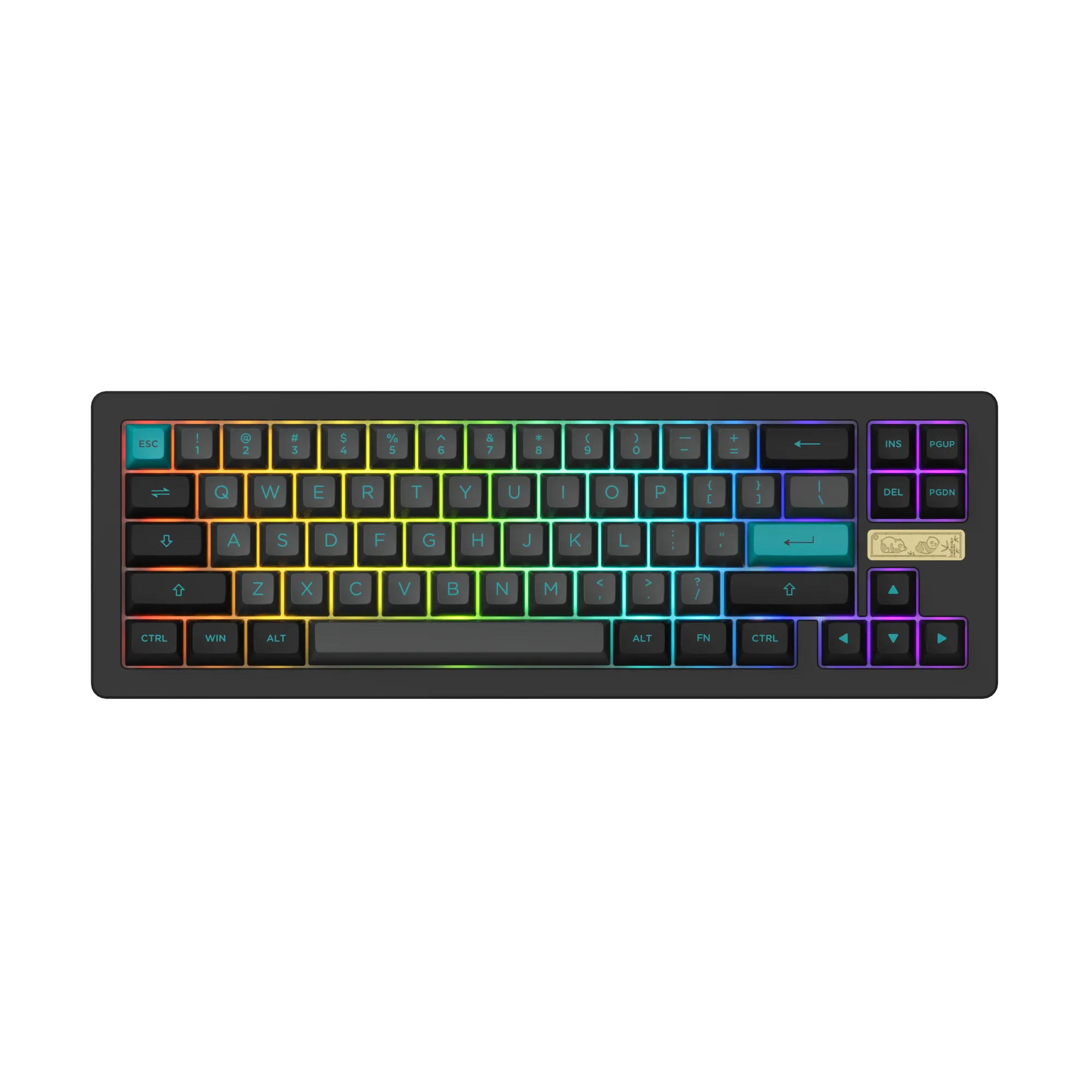 ACR Pro 68 Black & Cyan