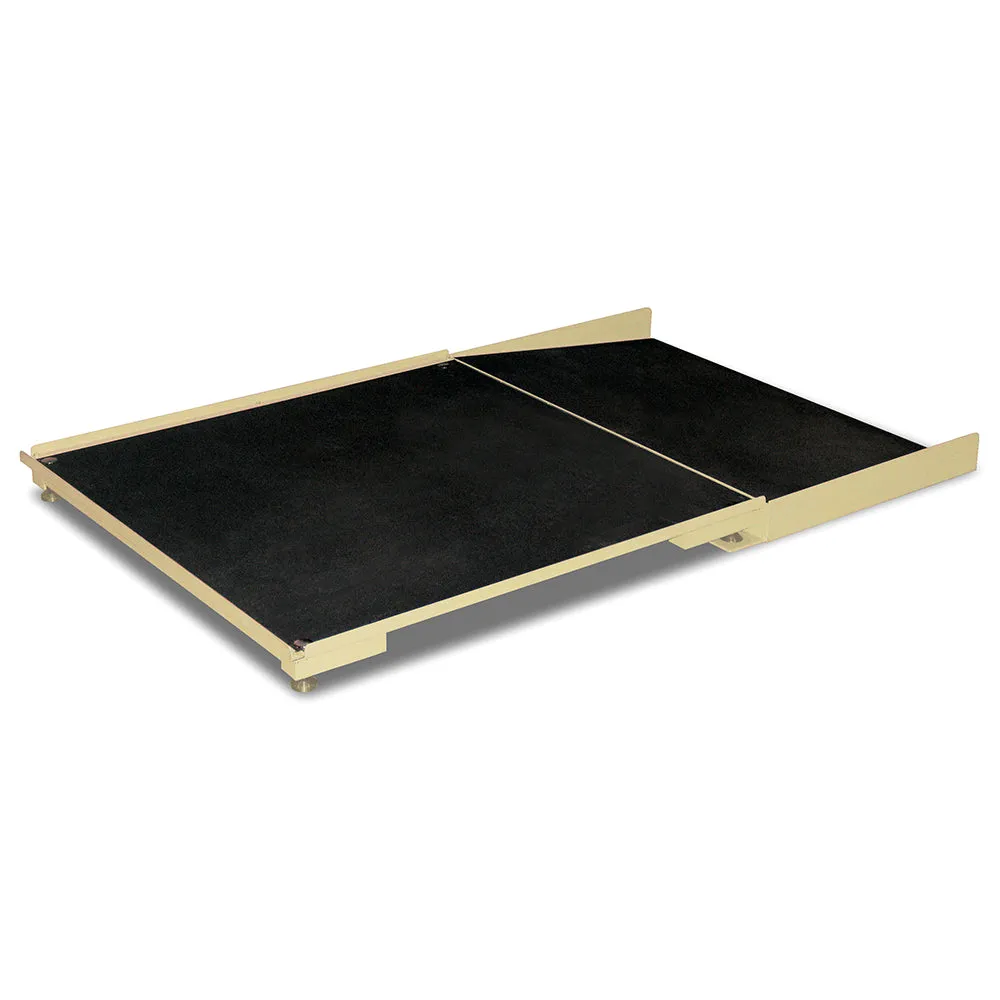 Detecto 3' x 3' Floor Scale with Ramp and MV1 Indicator - Black, 1,000 lb x 0.2 lb