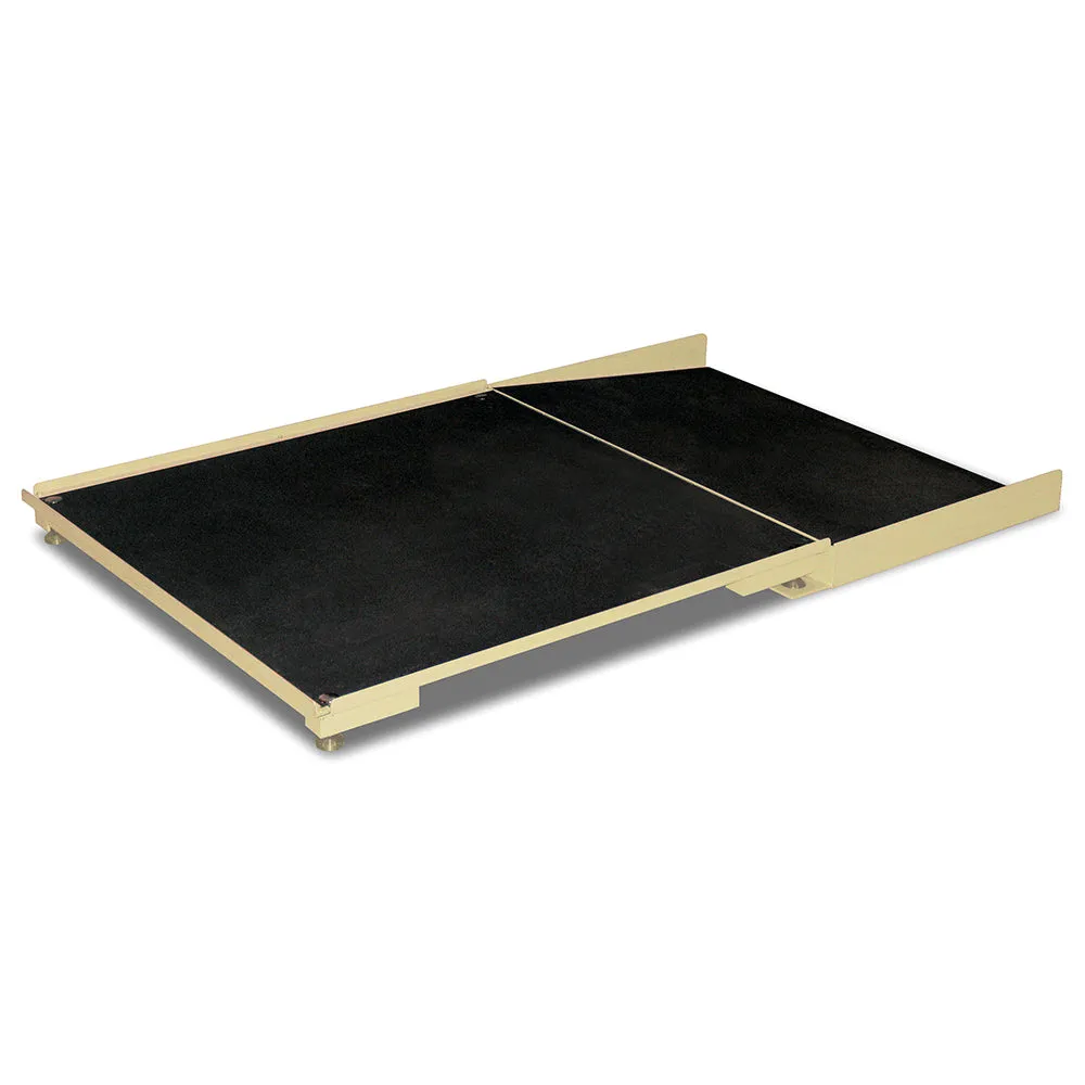 Detecto 4' x 4' Floor Scale with Ramp and MV1 Indicator - Black, 1,000 lb x 0.2 lb