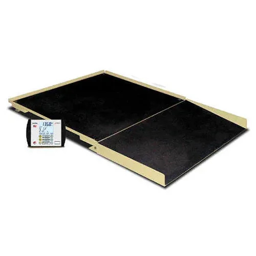 Detecto 4' x 4' Floor Scale with Ramp and MV1 Indicator - Black, 1,000 lb x 0.2 lb