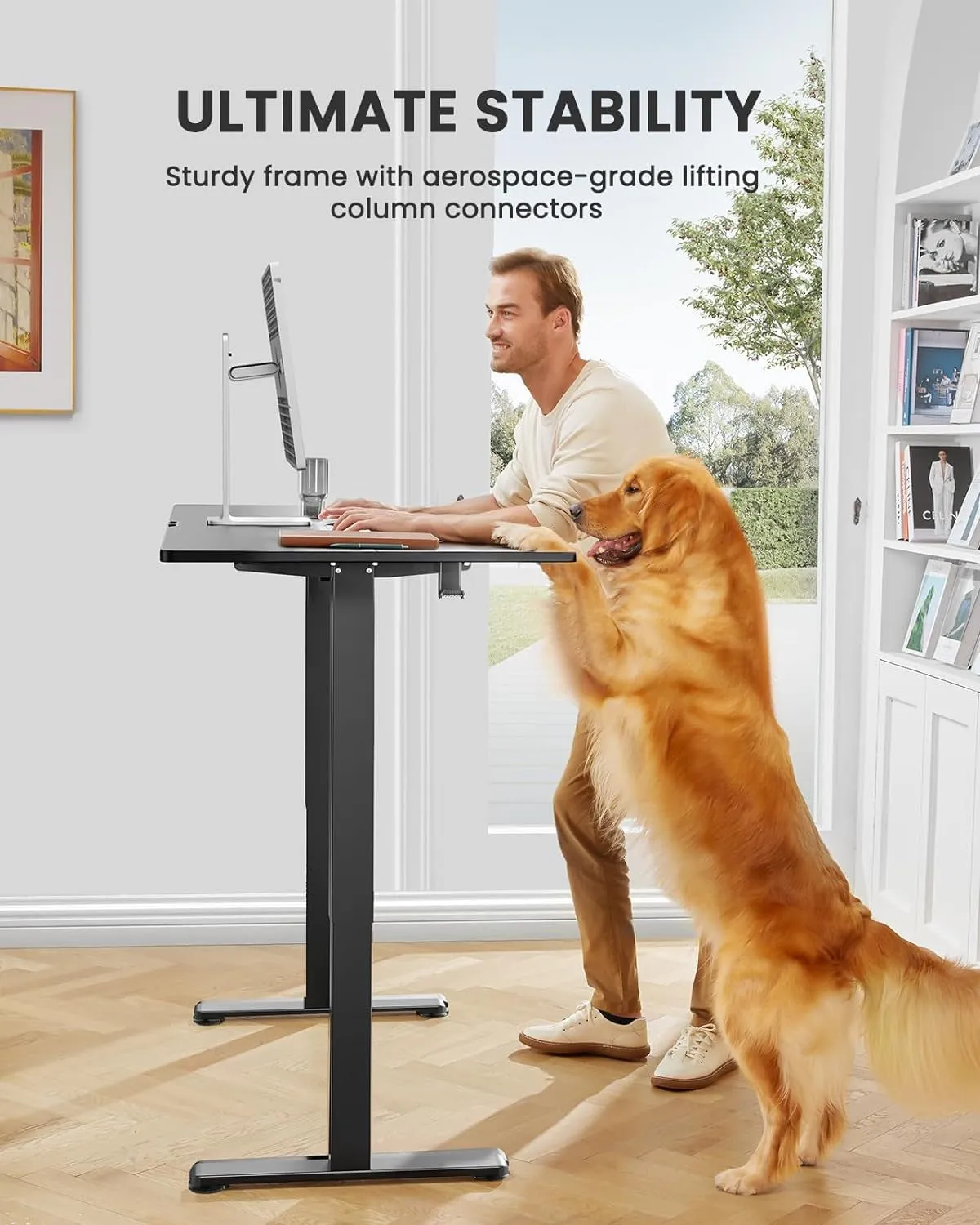 Height Adjustable Electric Standing Desk, 48 X 24 Inches Sit Stand up Desk,