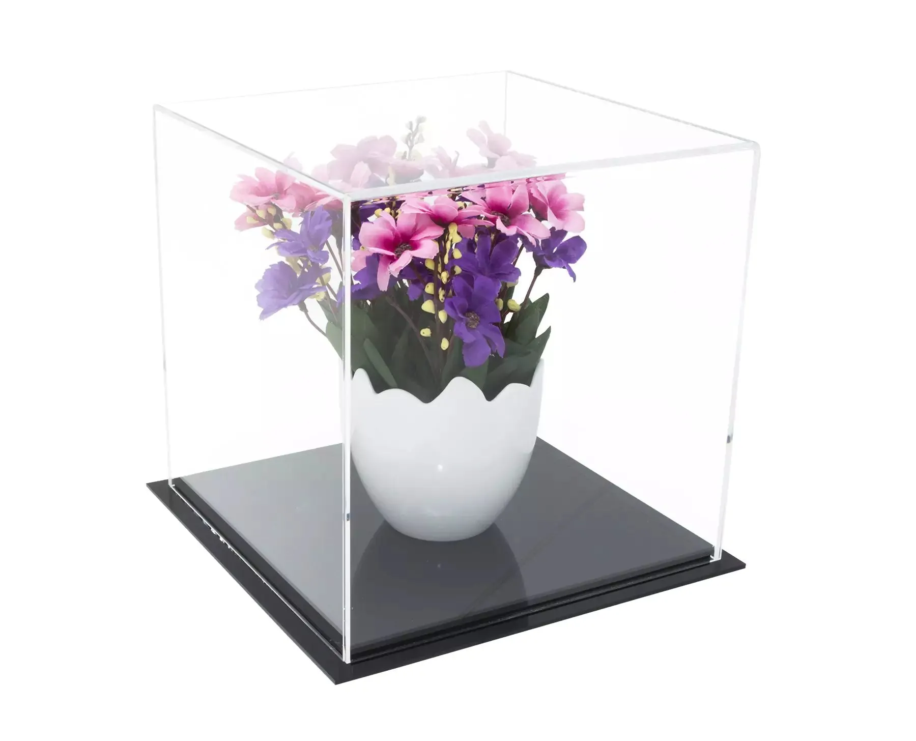 Versatile Acrylic Display Cases with Double Sheet Base with Clear Case