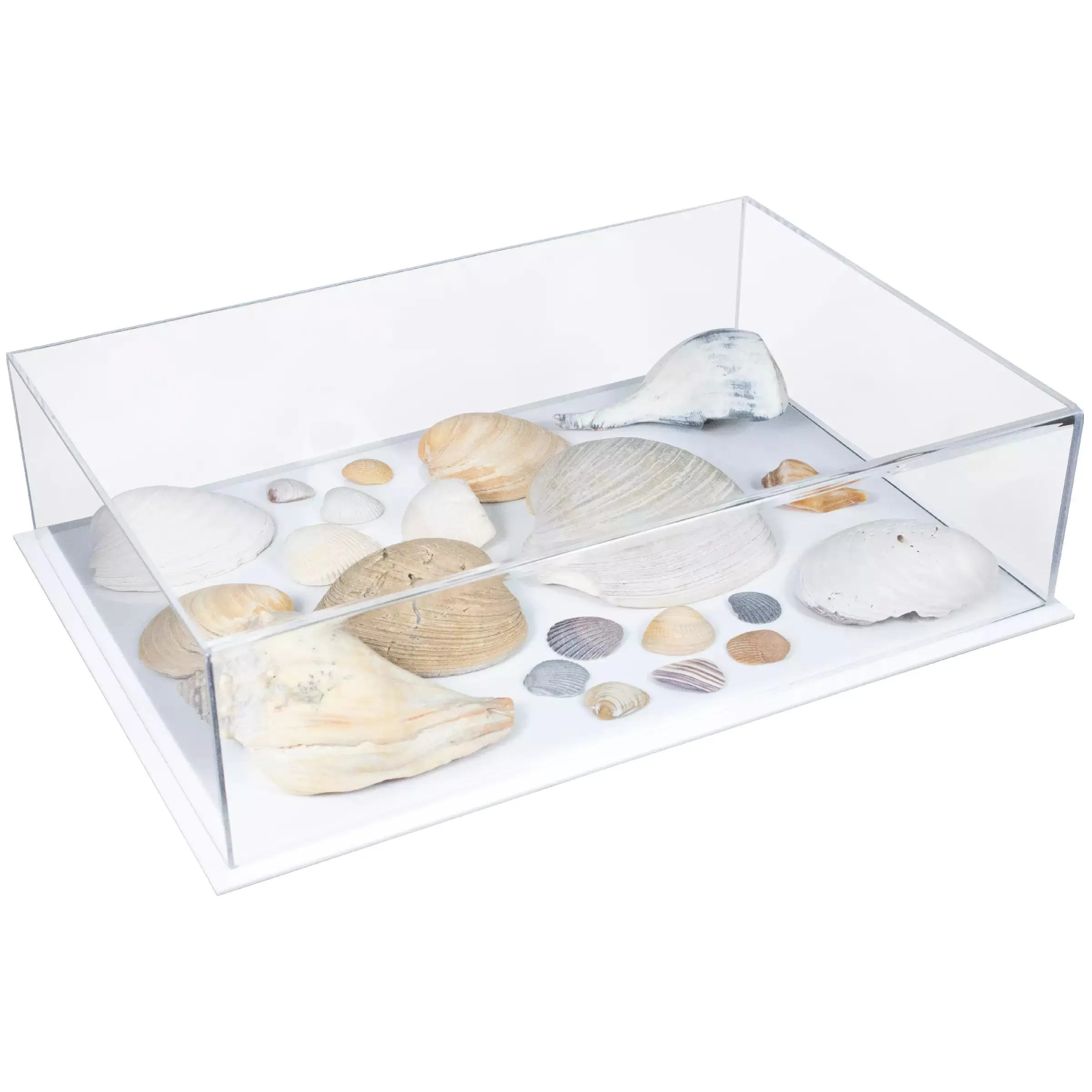 Versatile Acrylic Display Cases with Double Sheet Base with Clear Case