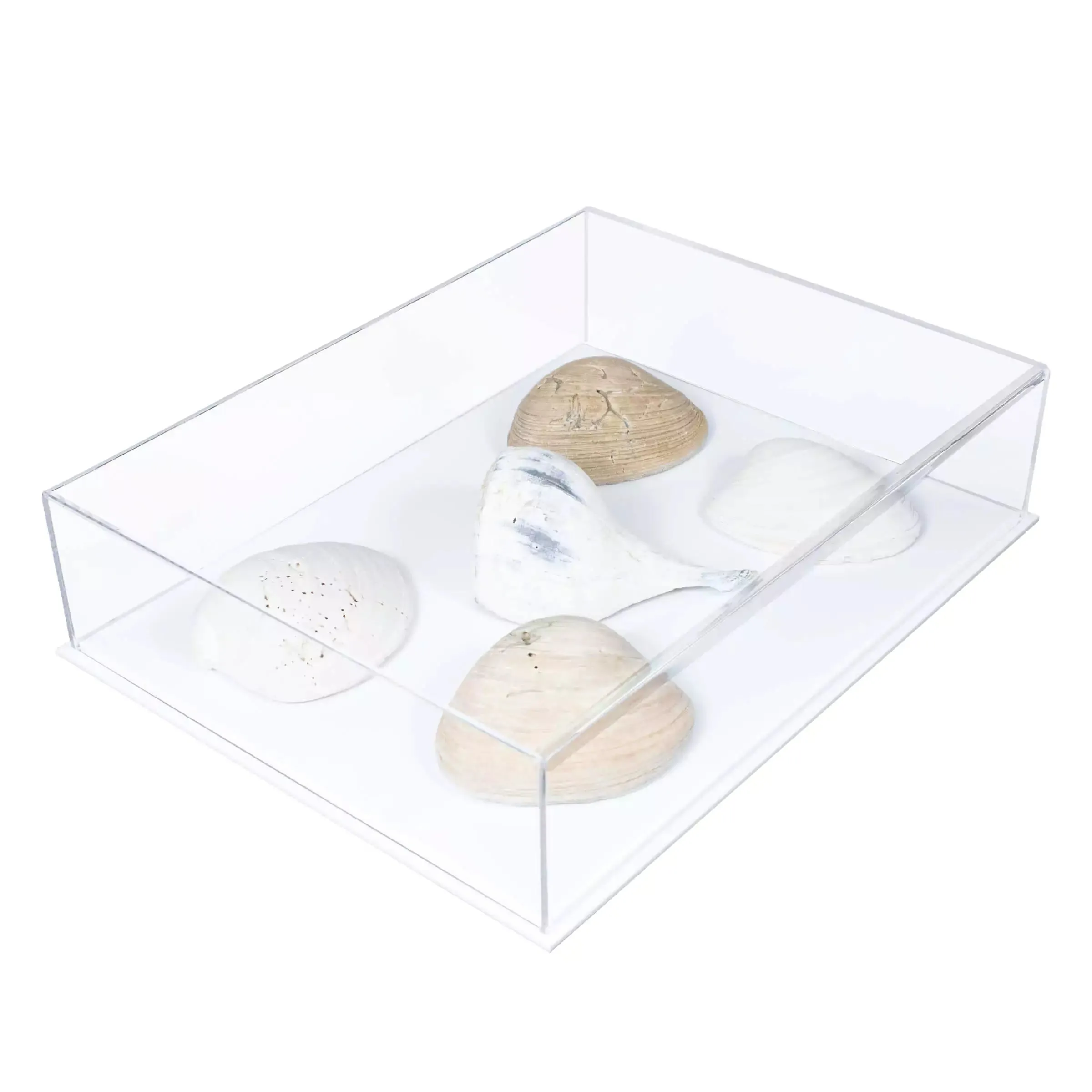 Versatile Acrylic Display Cases with Double Sheet Base with Clear Case