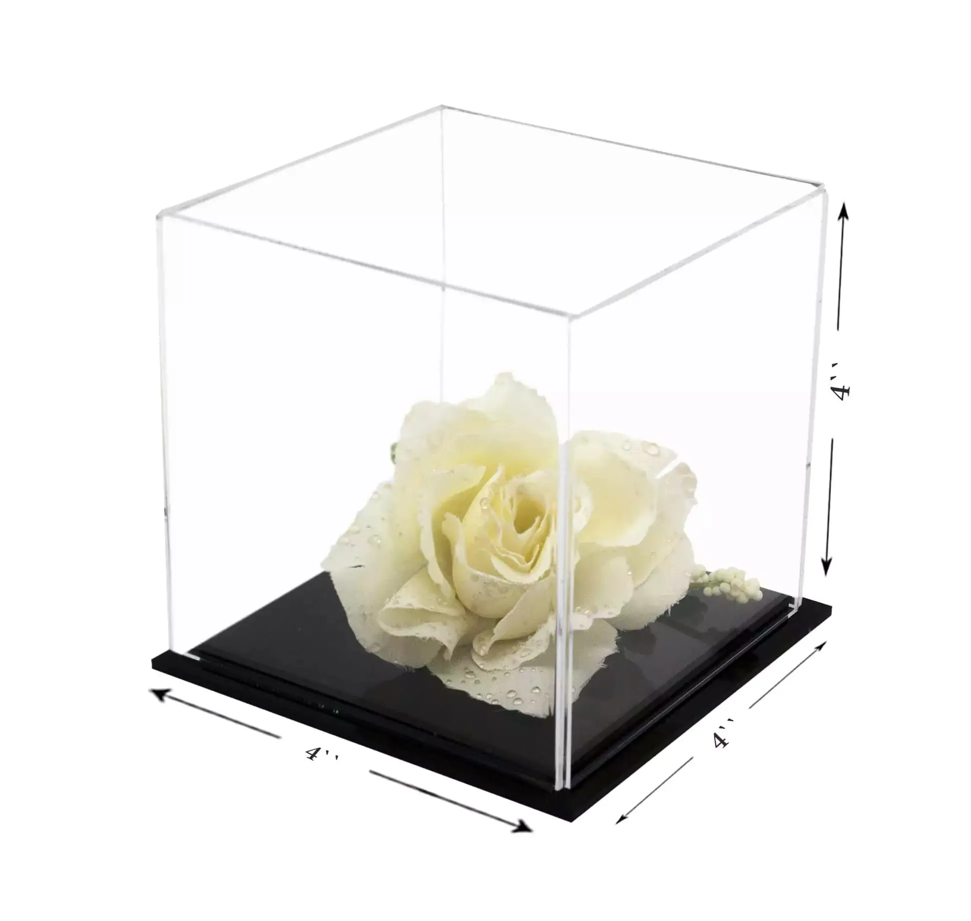 Versatile Acrylic Display Cases with Double Sheet Base with Clear Case