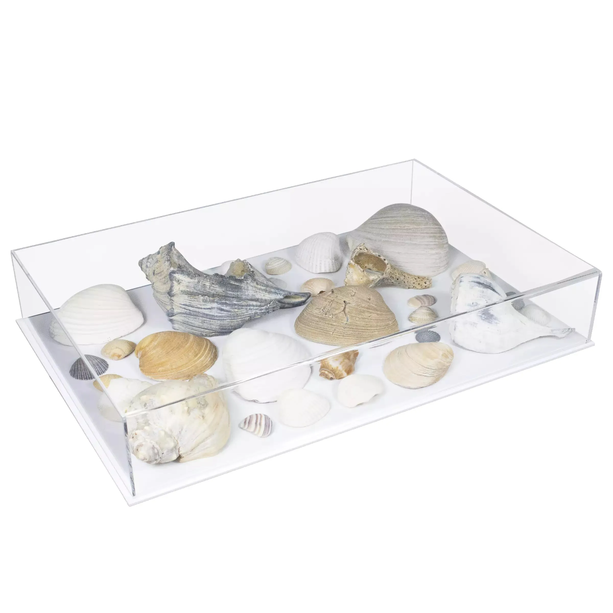 Versatile Acrylic Display Cases with Double Sheet Base with Clear Case